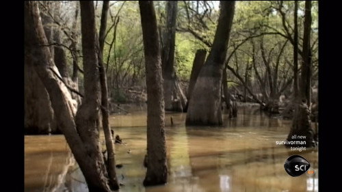 Georgian Swamp