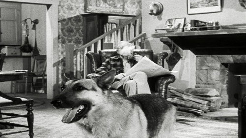 The Case of the Lazy Lover