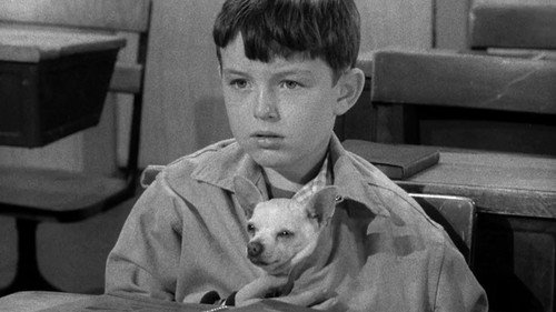 Beaver and Poncho